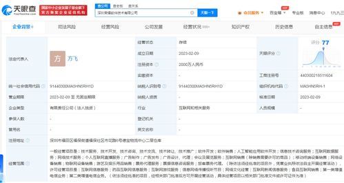 榮耀跨界布局游戲與信息服務，2000萬成立軟件子公司引發行業關注